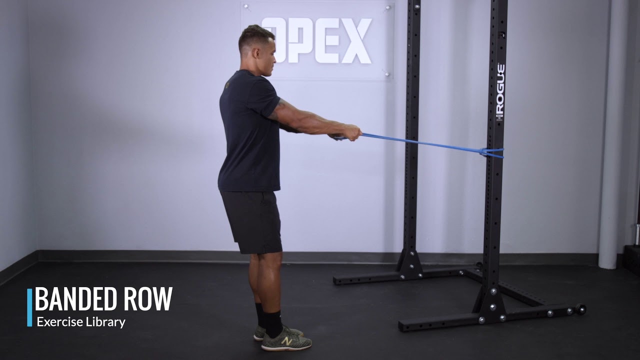 Banded Row - OPEX Exercise Library - YouTube