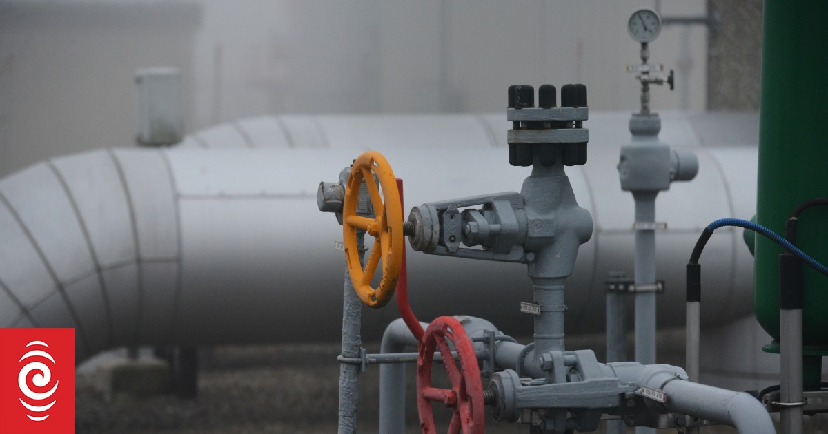 Organisations call on govt to ditch LNG import terminal