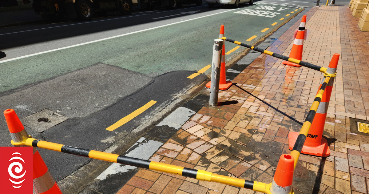 Wellington's new water entity facing scrutiny from Commerce Commission over proposed bills