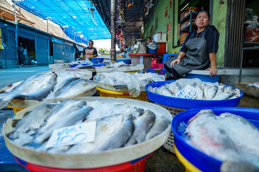 Buckets are full to the brim with fish at a shop on the street, while the woman shopkeepr sits on a step looking despondent.