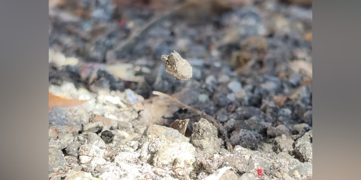 Tiny ‘Floating’ Rocks Keep Surprising People — And A Spider Is Behind Them