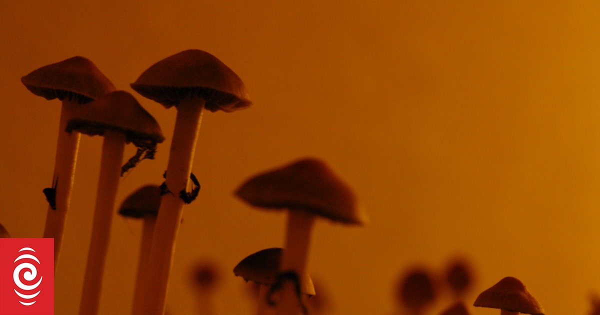 Study shows benefits of psychedelic drugs for people with life-threatening illness