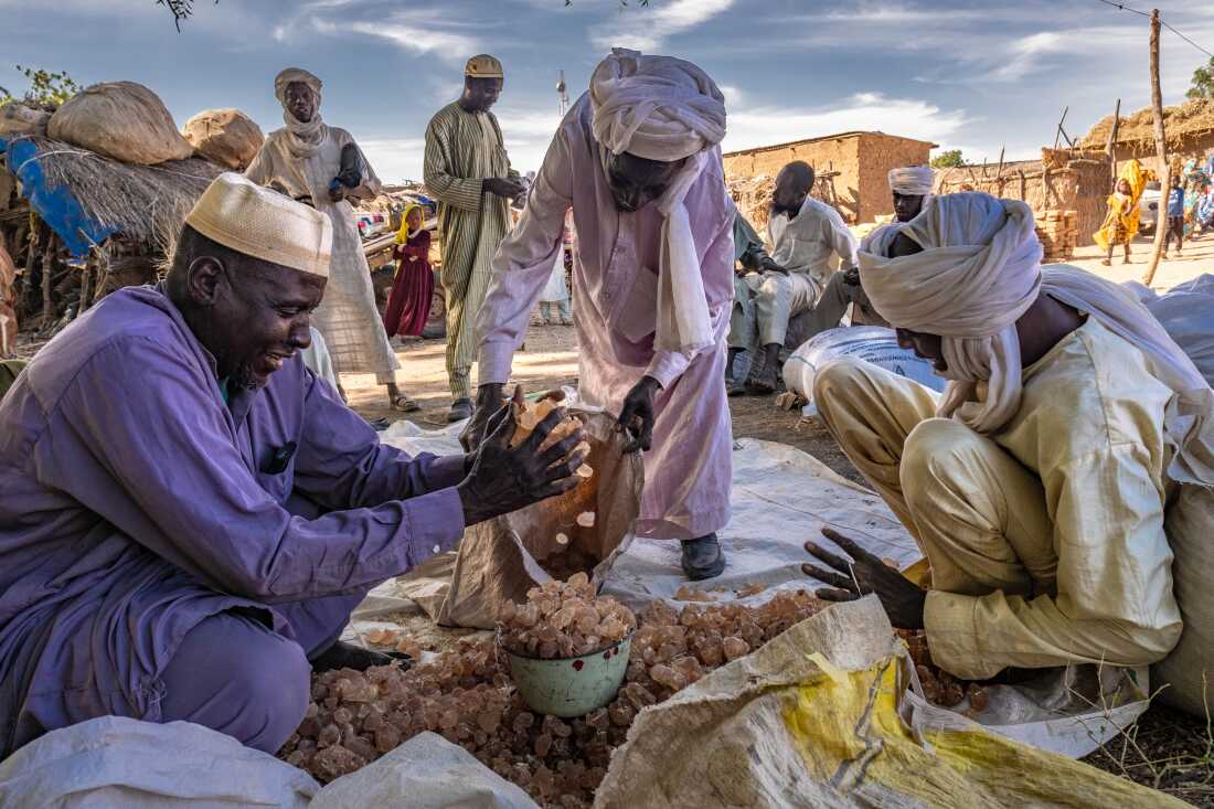 Gum arabic traders at a market in the village of Karnak, Chad. The NGO SOS Sahel is planting acacia trees, which produce the gum, in the region as a part of its work toward the Great Green Wall initiative