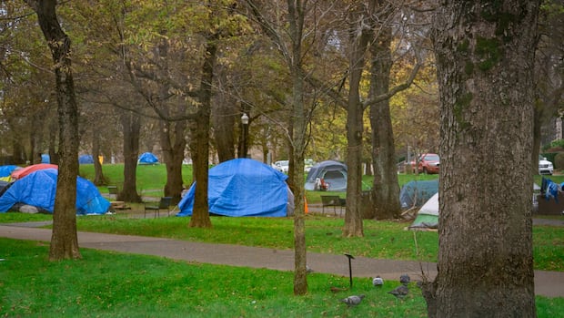 A cancer screening program in N.S. is now available to the unhoused, but gaps remain