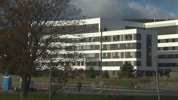 One year after new mental health facility opened, advocates want to see promised walk-in centre