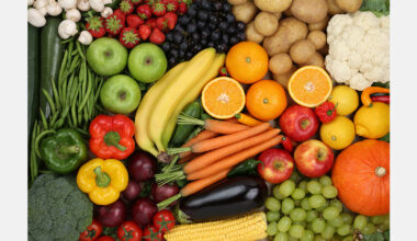 New Zealand exporters urge support for Indian trade deal