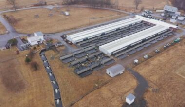 First Nations continue call to save Mactaquac salmon facility