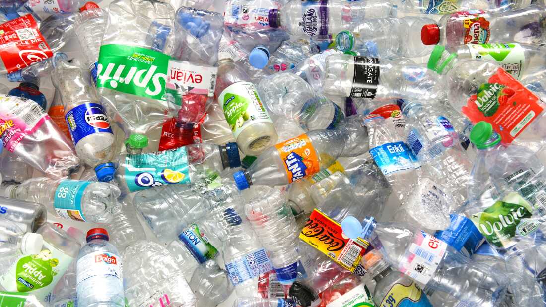 Loose, empty disposable plastic bottles. All are made of thin transparent plastic, some still labeled Sprite, Evian, Pepsi, etc.