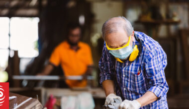 Paid work by over-65s worth nearly $9 billion a year - study
