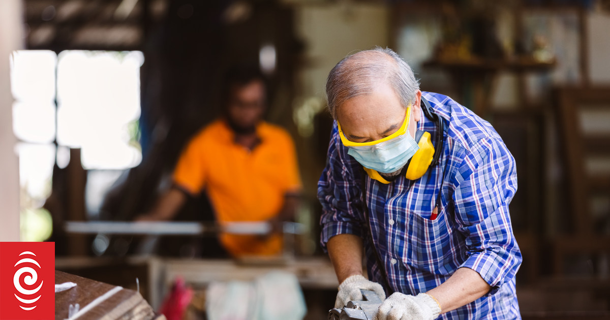 Paid work by over-65s worth nearly $9 billion a year - study