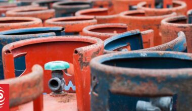 Business NZ seeks government loan support for firms moving away from gas