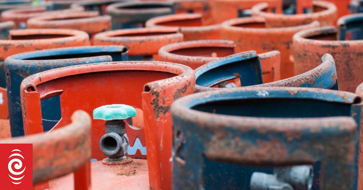 Business NZ seeks government loan support for firms moving away from gas