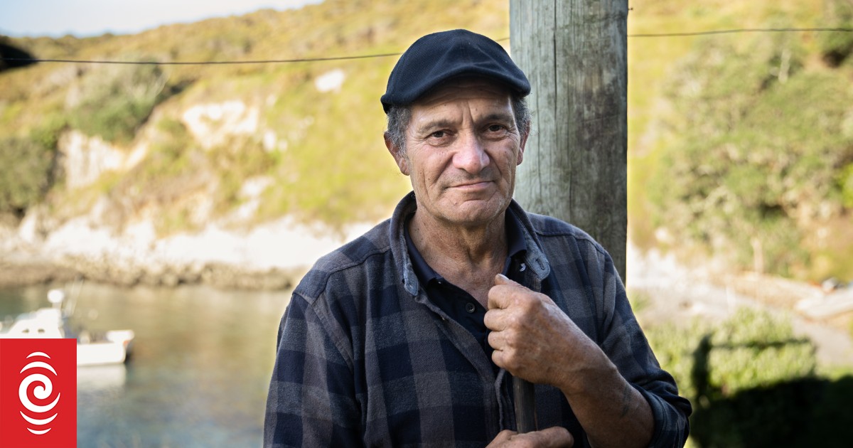 Great Barrier Island residents fear overfishing has decimated the kōura population