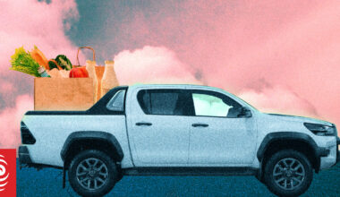 Fuel crisis does little to diminish New Zealanders love for utes, data shows