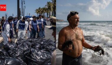 Pipeline leak near Pemex platform caused Gulf of Mexico oil spill that killed wildlife, polluted reserves: officials