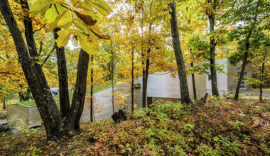 Times Union x Google