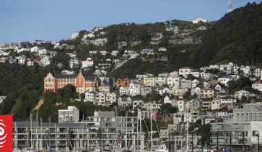 Rough sleepers housed under Wellington partnership but still not enough