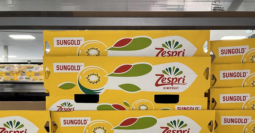 Kiwifruit and apples drive 24% rise in New Zealand fruit exports