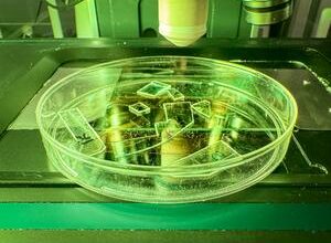 Plastic texturing kills viruses when they land