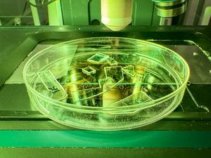 Plastic texturing kills viruses when they land