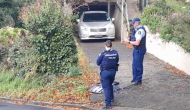 'Threatening behaviour': Armed police swoop on Dunedin property