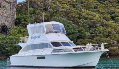 Pelin Shikaree: Kauri classics that refuse to die