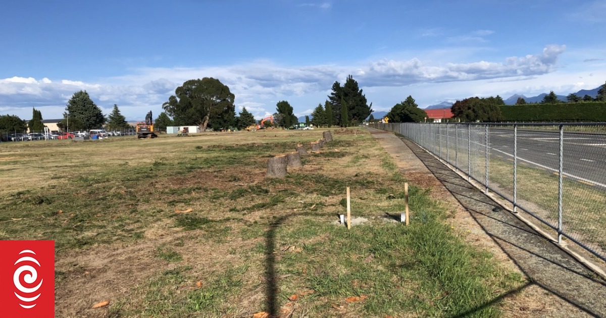 Plane makes emergency landing at Marlborough Airport