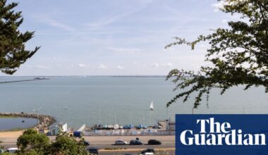 England wildlife watchdog ‘has stopped designating special sites for protection’ | Wildlife