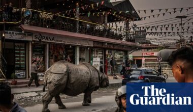 ‘They come right past the house’: learning to live with rhinos as numbers soar in Nepal | Environment