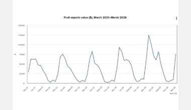 New Zealand fruit exports rise as kiwifruit and apples drive growth
