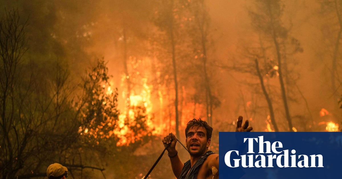 What is a ‘super El Niño’ and what might it mean for the global climate? | Environment
