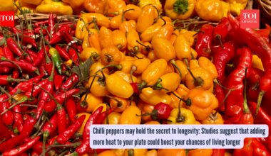 Chilli peppers may hold the secret to longevity: Studies suggest that adding more heat to your plate could boost your chances of living longer