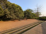 Ultra-wide camera: Pixel 9a (14mm, f/2.2, ISO 51, 1/683s, 4000x3000px)
