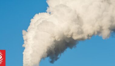 Climate Change Commission warns NZ ETS could fail without reform