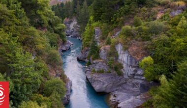 Community group alarmed by Shotover River's spike in E. coli, council opens investigation