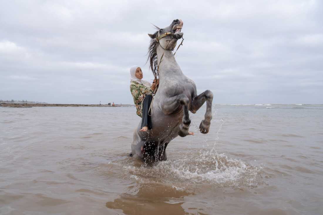 Farīsāt: Gunpowder’s Daughters Ghita Jhiate manages her unruly stallion. Long forbidden by her father to participate in Tbourida, she finally realized her dream of riding alongside pioneer Zahia Aboulait in 2025. Sidi Rahal, Morocco, 6 August 2025. Tbourida is a UNESCO-recognized Moroccan equestrian tradition dating back to the 16th century. Troupes gallop in unison, firing rifles in a choreographed performance of cavalry warfare. Historically excluded, female riders have fought for inclusion since Morocco’s 2004 family code reforms strengthened women’s legal rights. Today, seven all-female troupes now ride among some 300. These farīsāt (horsewomen) bear significant personal costs, funding their own horses, costumes, and gunpowder permits. Their perseverance stands as a powerful claim to women’s rightful place in Moroccan cultural heritage.