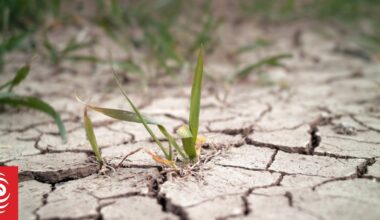 El Niño is on the way. What can we expect?