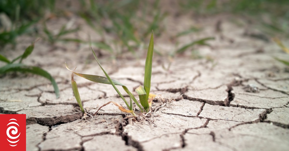 El Niño is on the way. What can we expect?