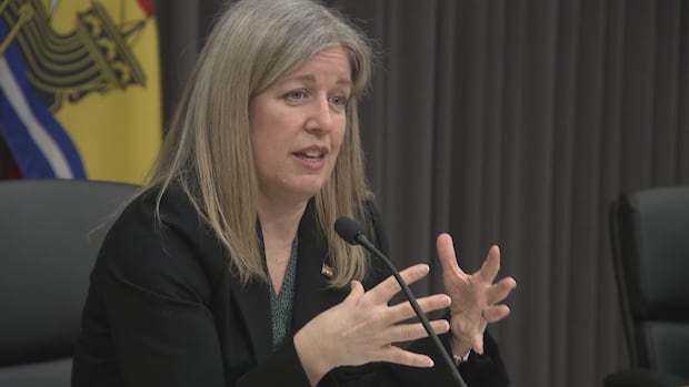 Clinics in N.B. are making progress on primary care, Holt says