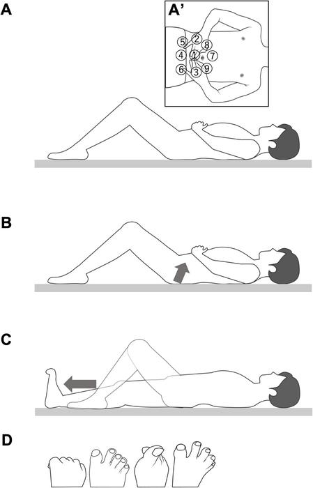 A supine exercise program linking trunk stability with lower extremity coordination is associated with improved body balance and agility: A study using randomized crossover and pre-post trial designs