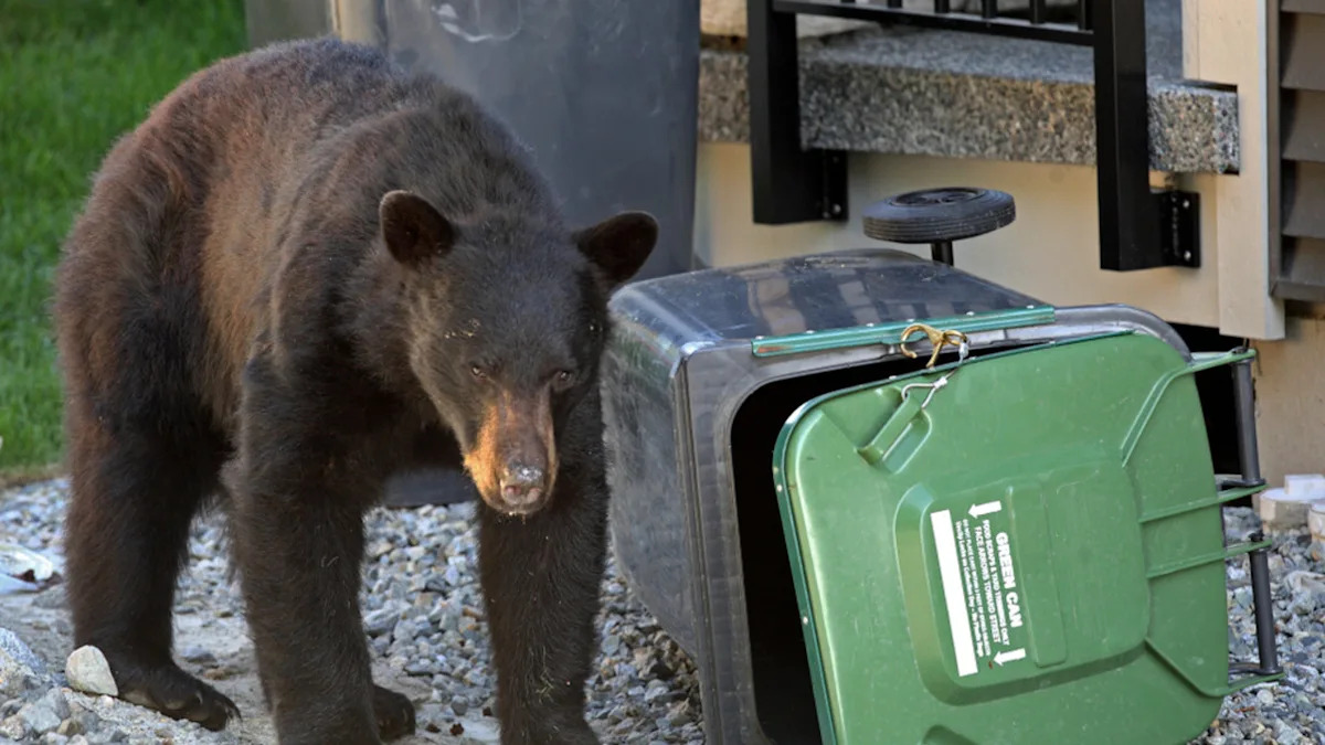 Yahoo lifestyle home