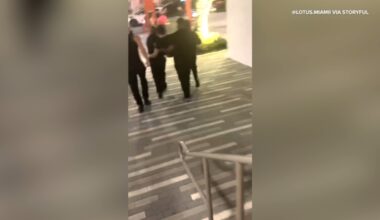 Influencer Clavicular, Braden Peters, known for looksmaxxing, hospitalized in Miami after suspected overdose during livestream