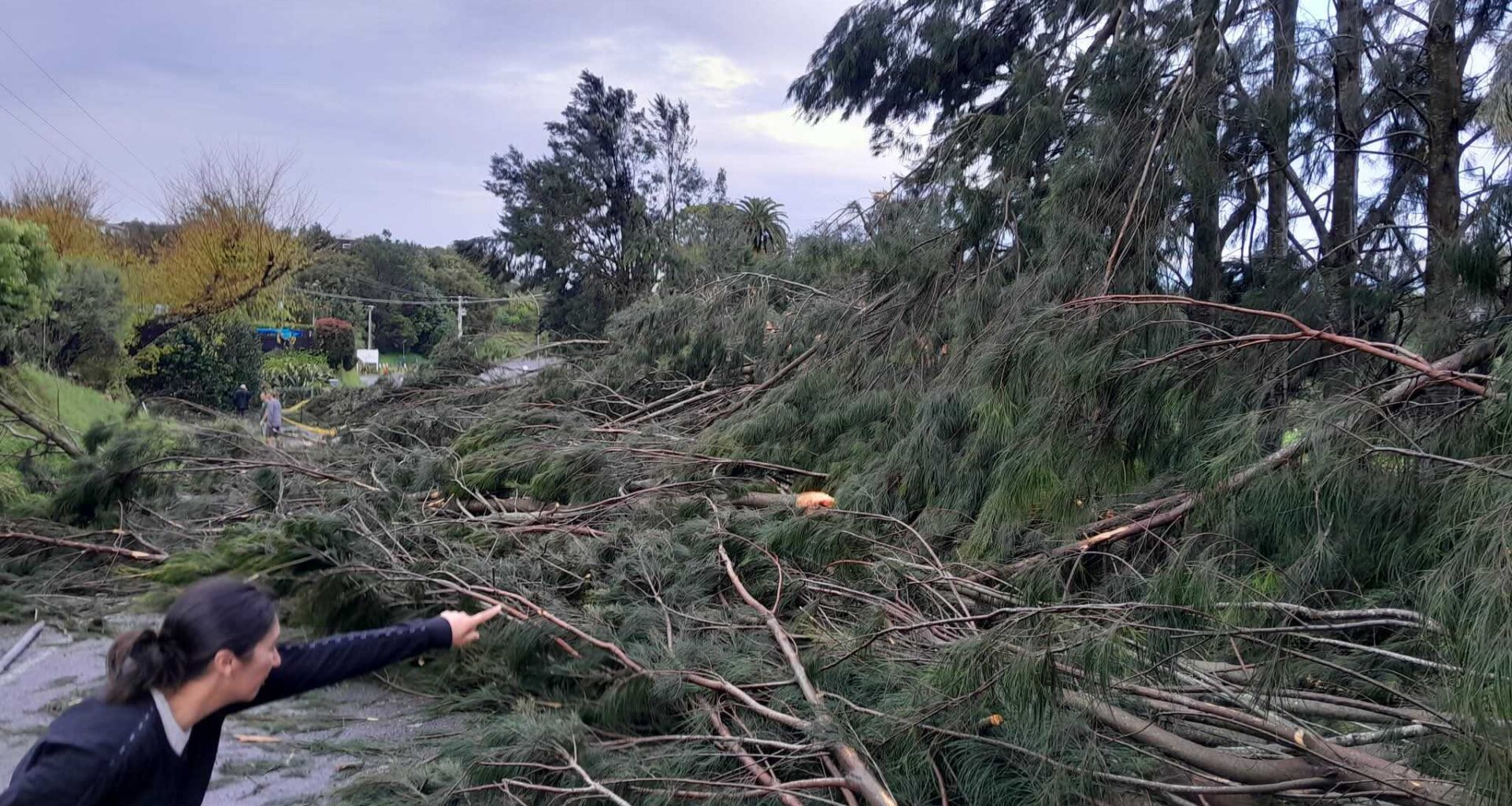 SunLive - Reports of tornado tearing through Tauranga