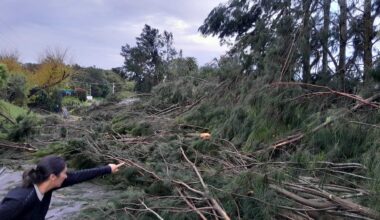 SunLive - Reports of tornado tearing through Tauranga