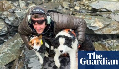 Molly the border collie rescued after a week waiting for injured owner in New Zealand’s remote backcountry | New Zealand