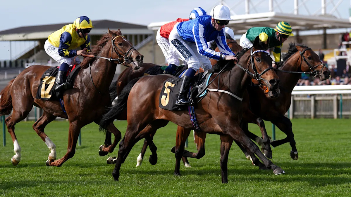 Darn Hot Gallop gets green light for Guineas bid