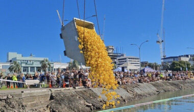 SunLive - Great Tauranga Duck Race raises thousands