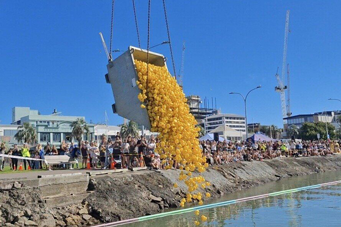 SunLive - Great Tauranga Duck Race raises thousands