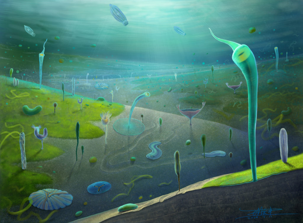 illustration shows a reconstruction of the Jiangchuan biota
