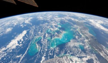 The Carbon Market Is Set for a Major Shake-Up